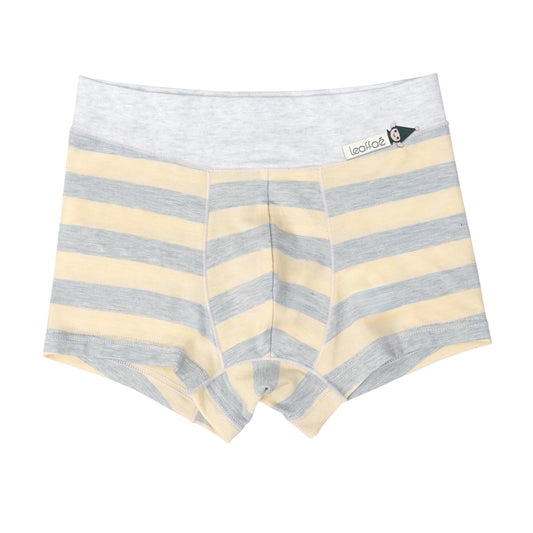 Multi-pack Modal Boys Boxer Briefs – Indigo Stripe